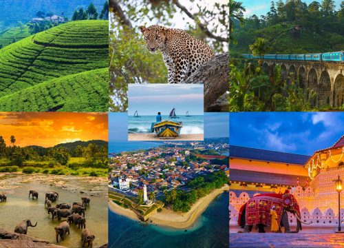 06 Nights 07 Days Tour Package