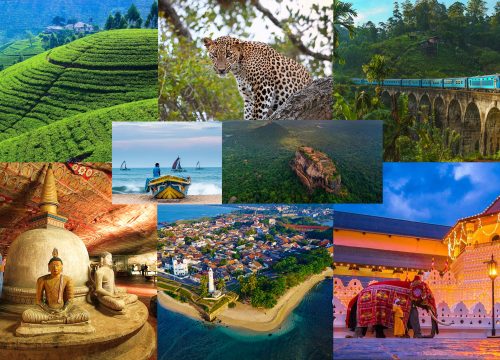 11 Nights 12 Days Tour Package